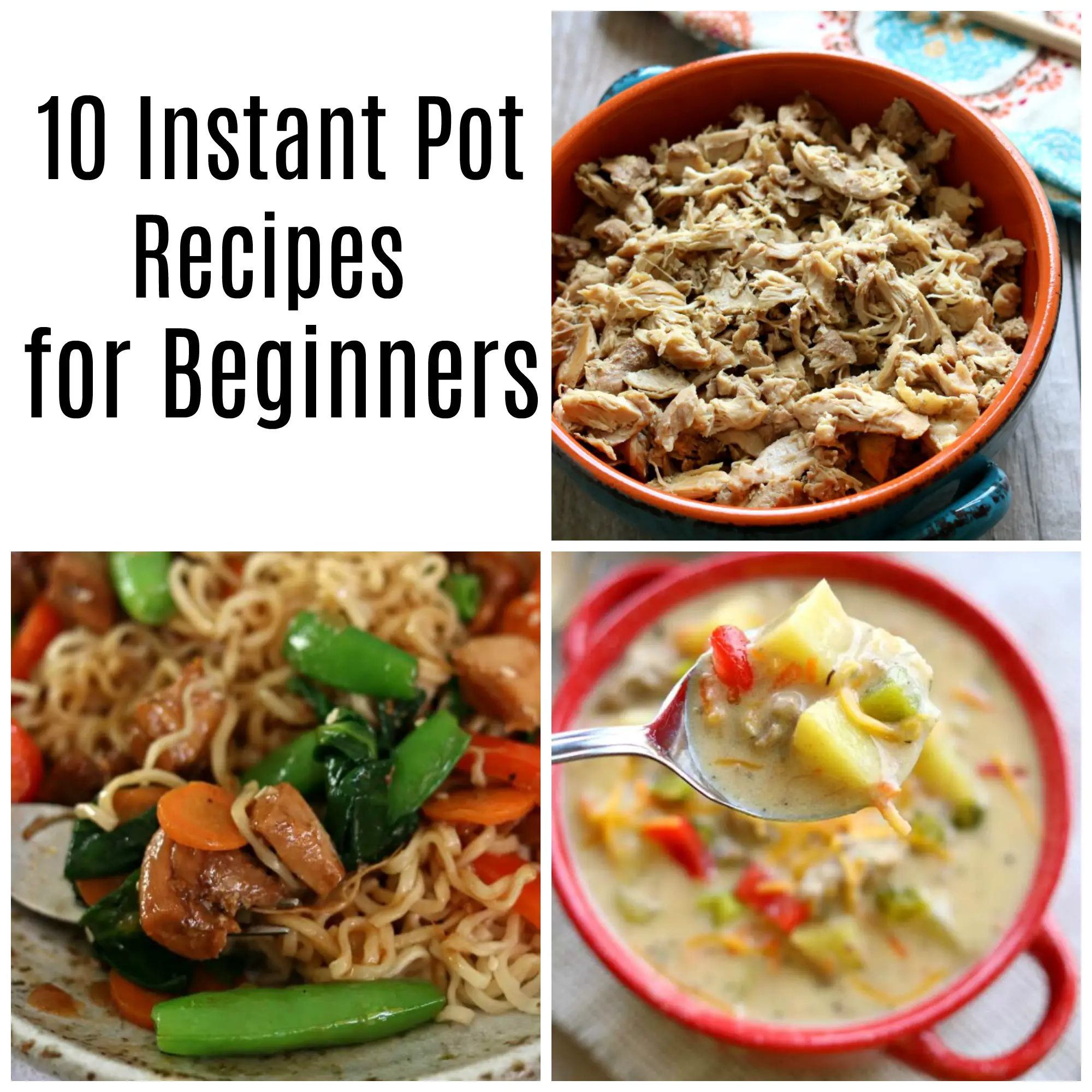 10 Instant Pot Recipes for Beginners
