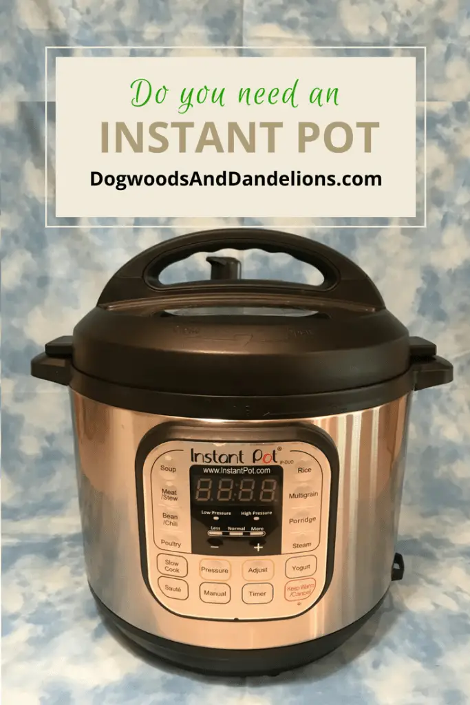 Do You Need An Instant Pot?
