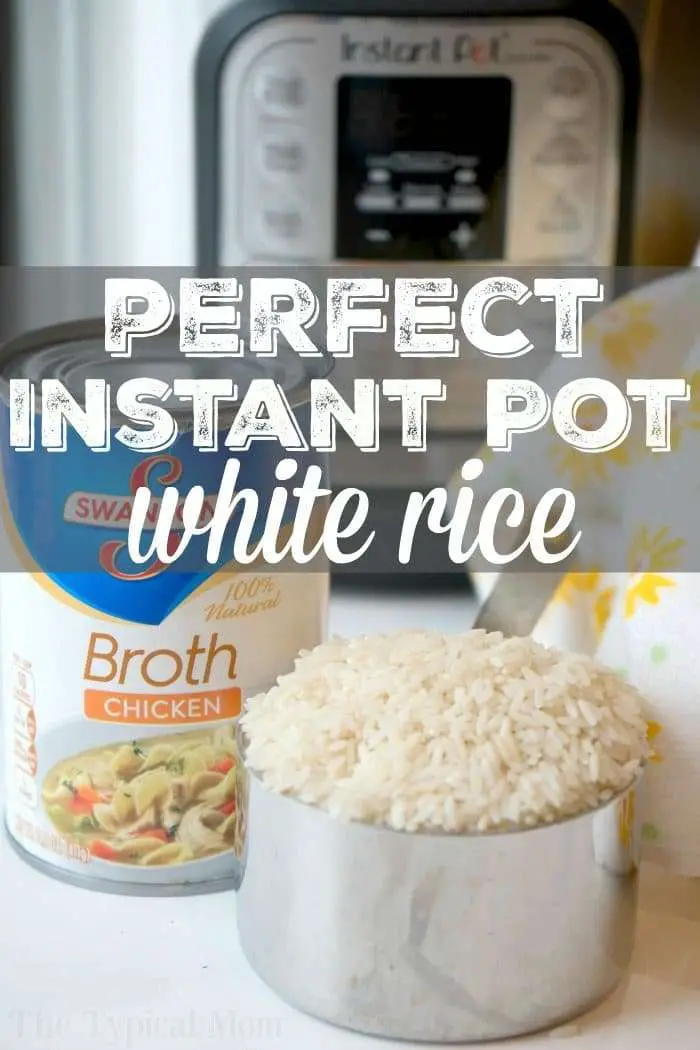 Fluffy Instant Pot White Rice · The Typical Mom