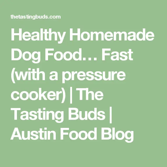 Healthy Homemade Dog Food Fast (with a pressure cooker)