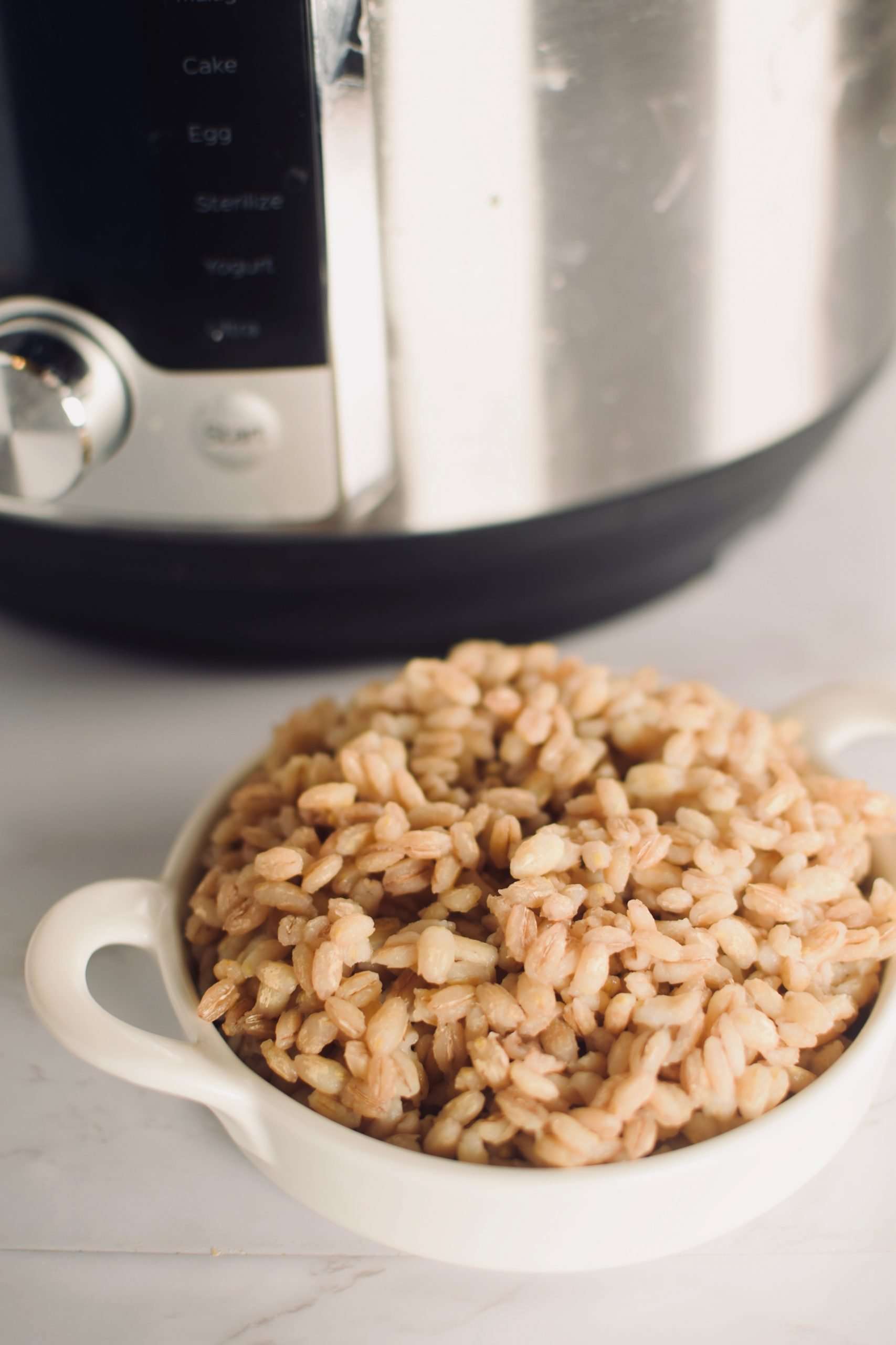 How to Cook Barley in the Instant Pot â¢ The Incredible Bulks