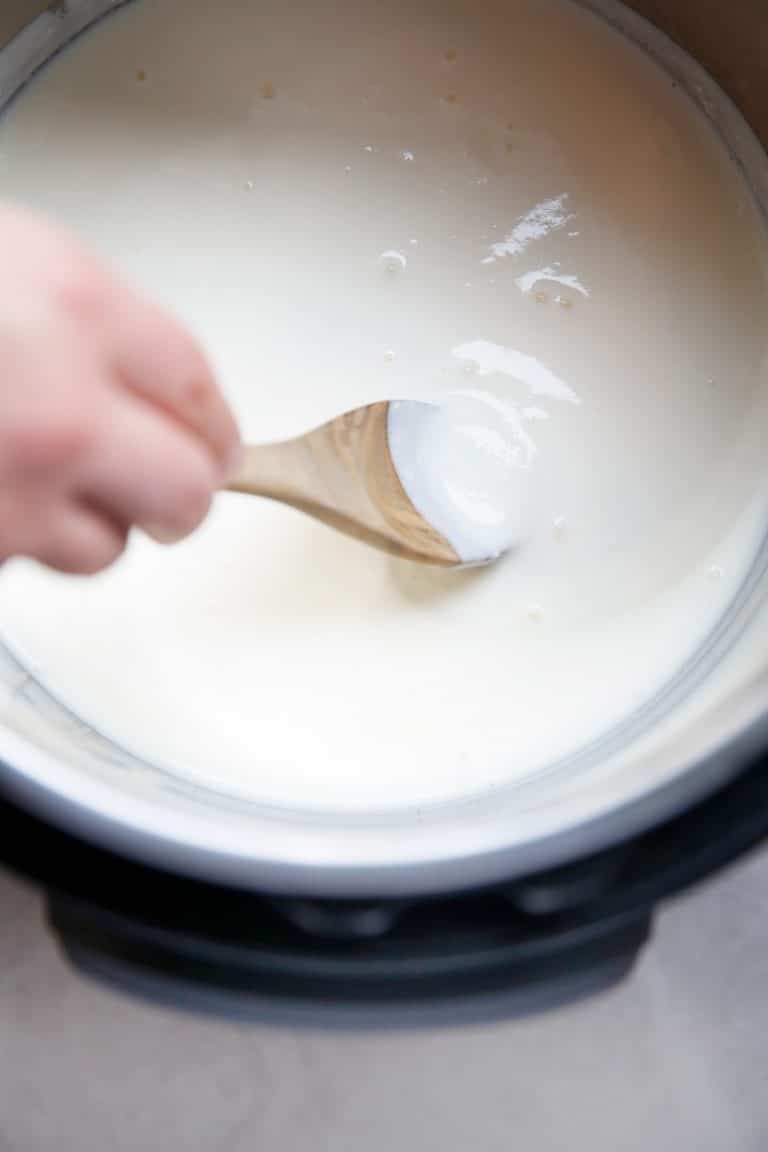 How to Make Coconut Milk Yogurt in the Instant Pot (Dairy ...