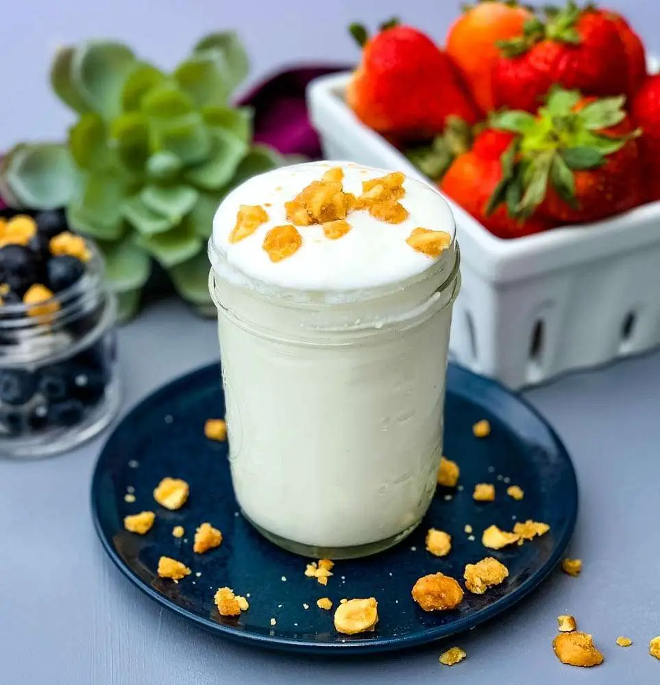 How to Make Homemade Yogurt in an Instant Pot + VIDEO