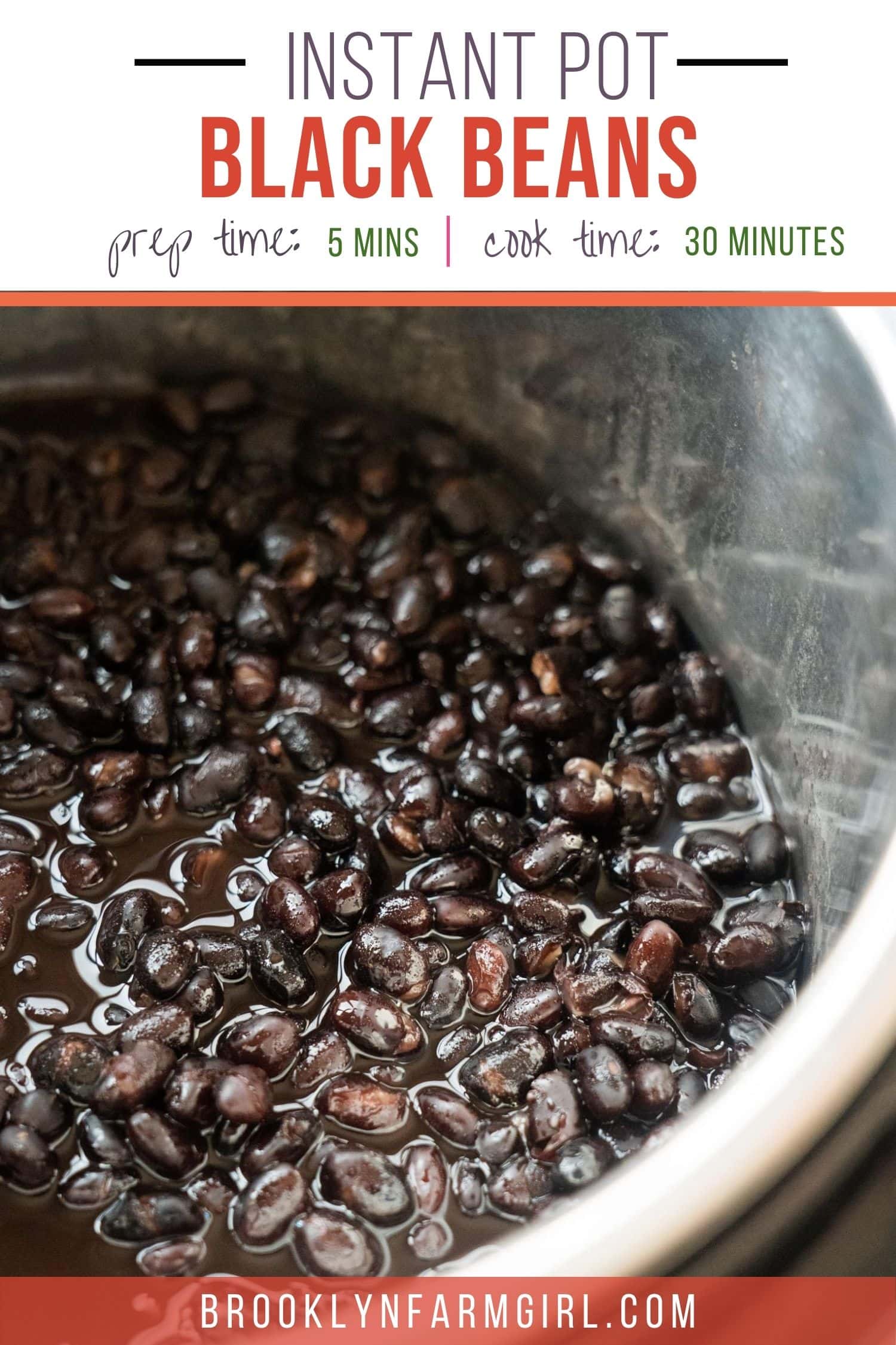 How to Make Instant Pot Black Beans