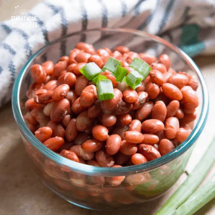 How to Make Instant Pot Dried Beans (No Pre