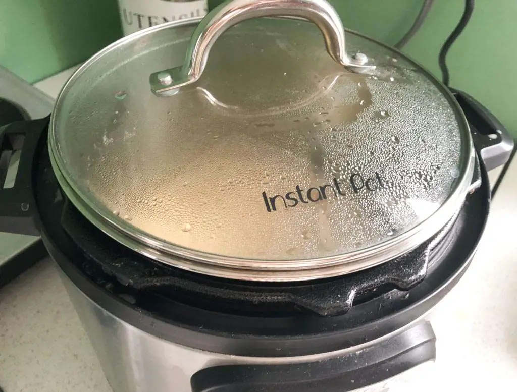 How to Reheat Food with an Instant Pot