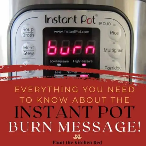 Instant Pot Burn Error