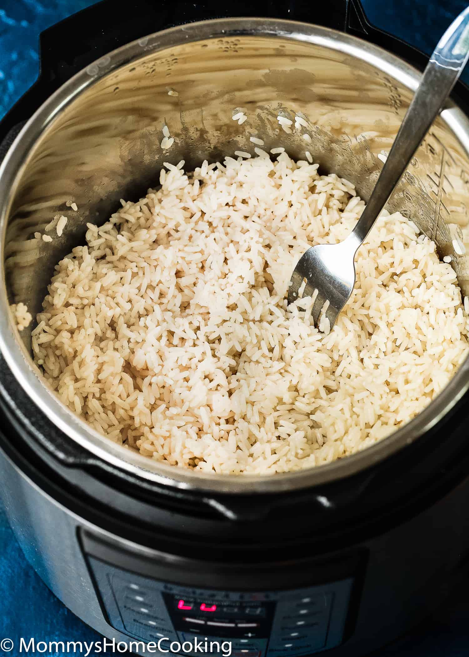 Instant Pot Fluffy Rice
