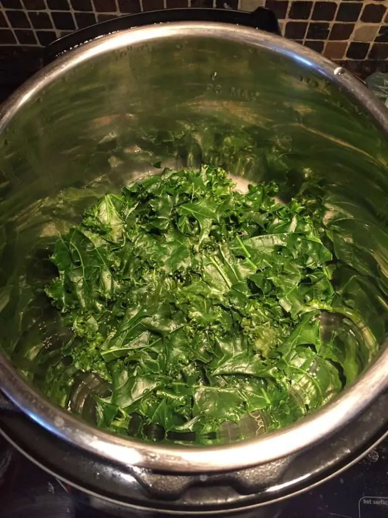 Instant Pot Kale Recipe  Melanie Cooks
