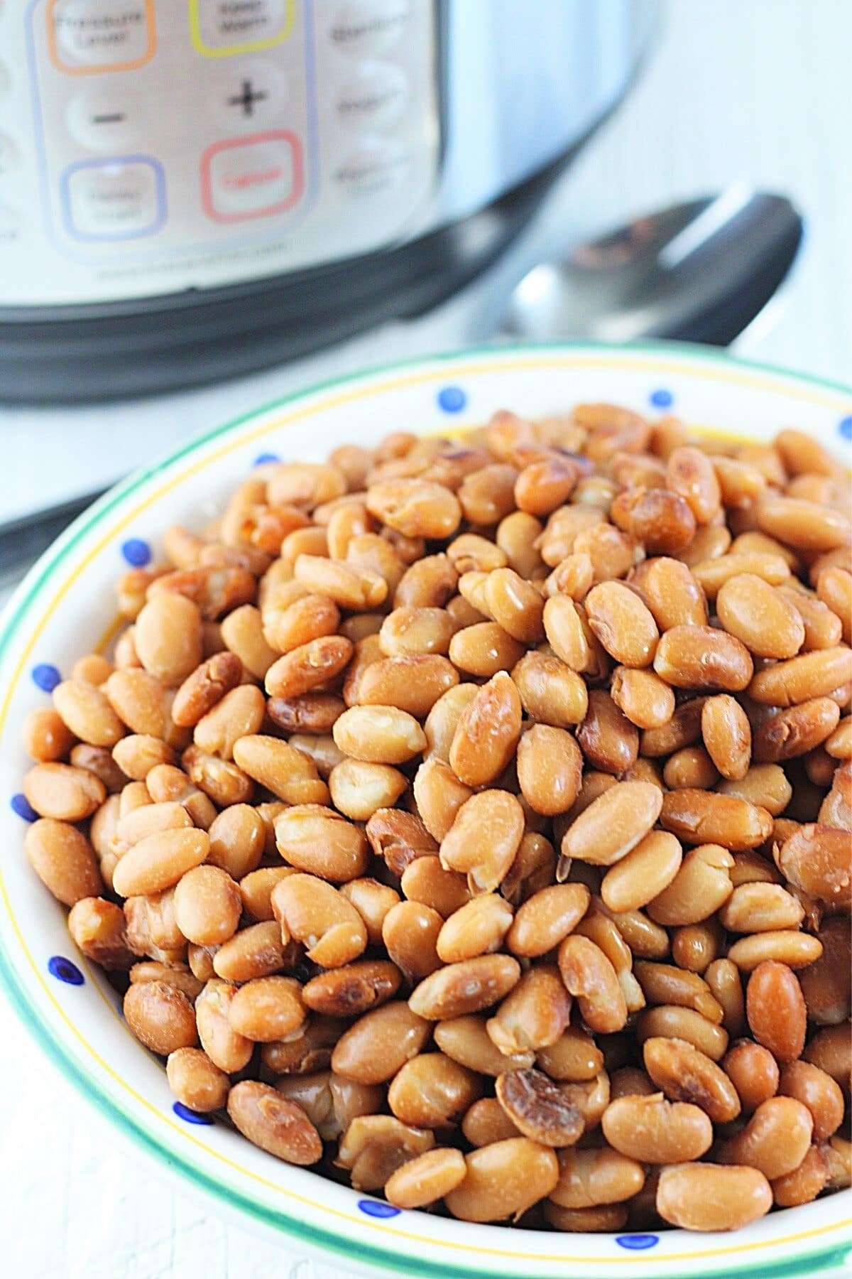 Instant Pot Pinto Beans â¢ Now Cook This!