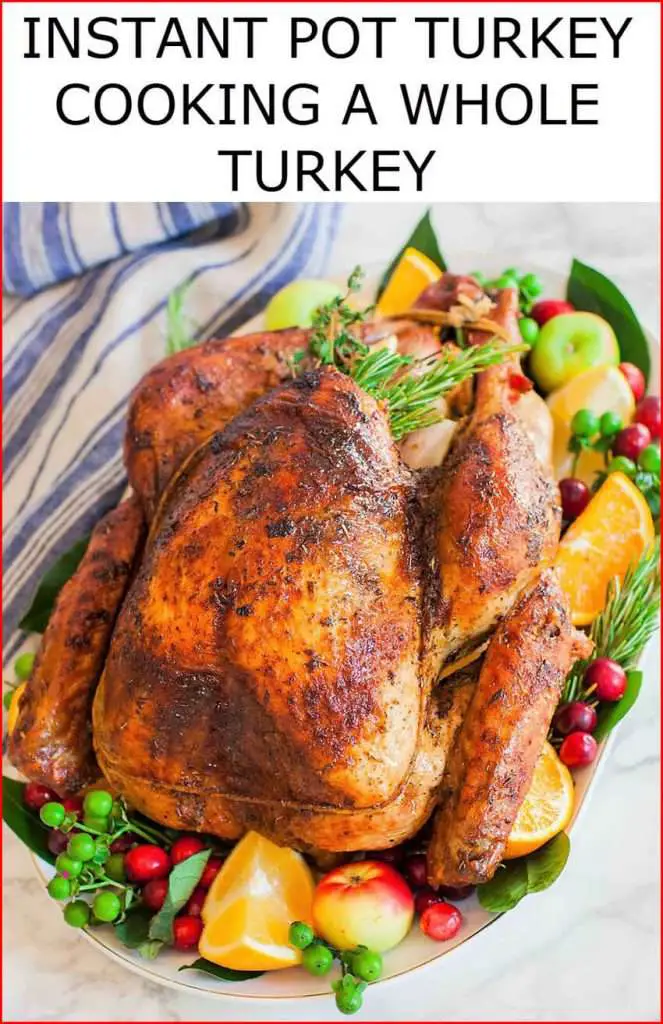 Instant Pot Recipes Turkey