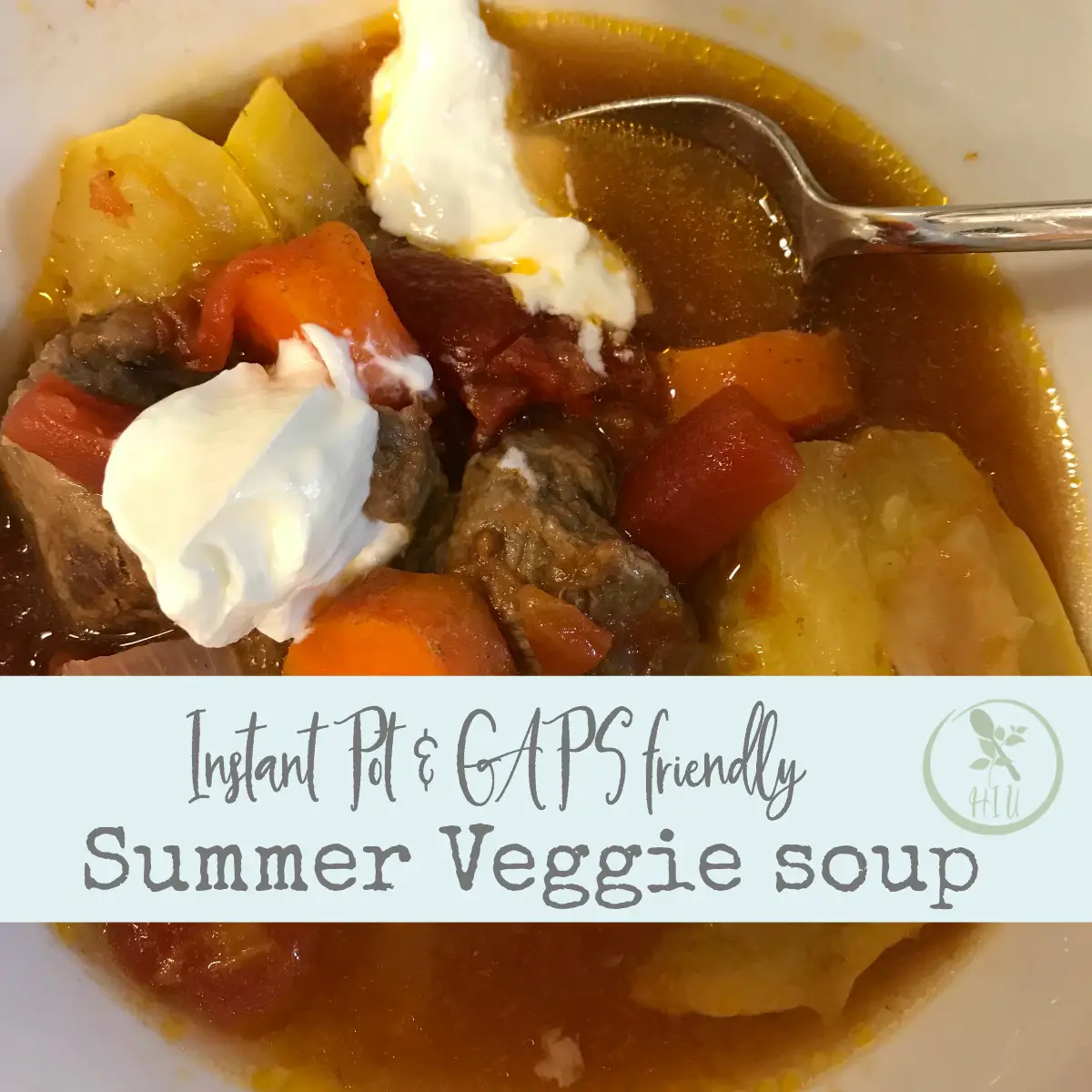 Instant Pot Summer Vegetable Soup Recipe