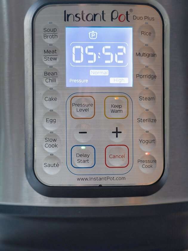 Is Instant Pot Delay Start Safe to Use?