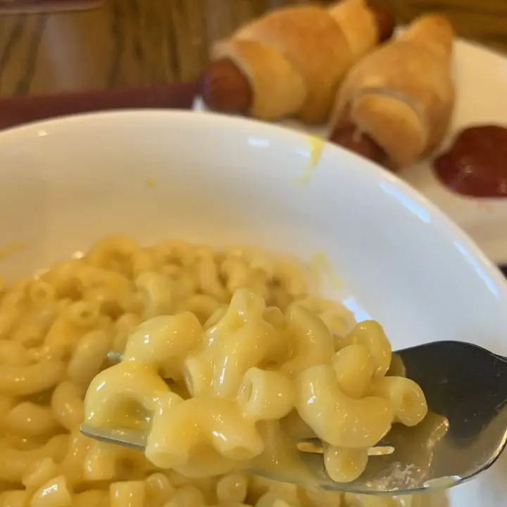 Kraft Macaroni and Cheese Instant Pot Recipe