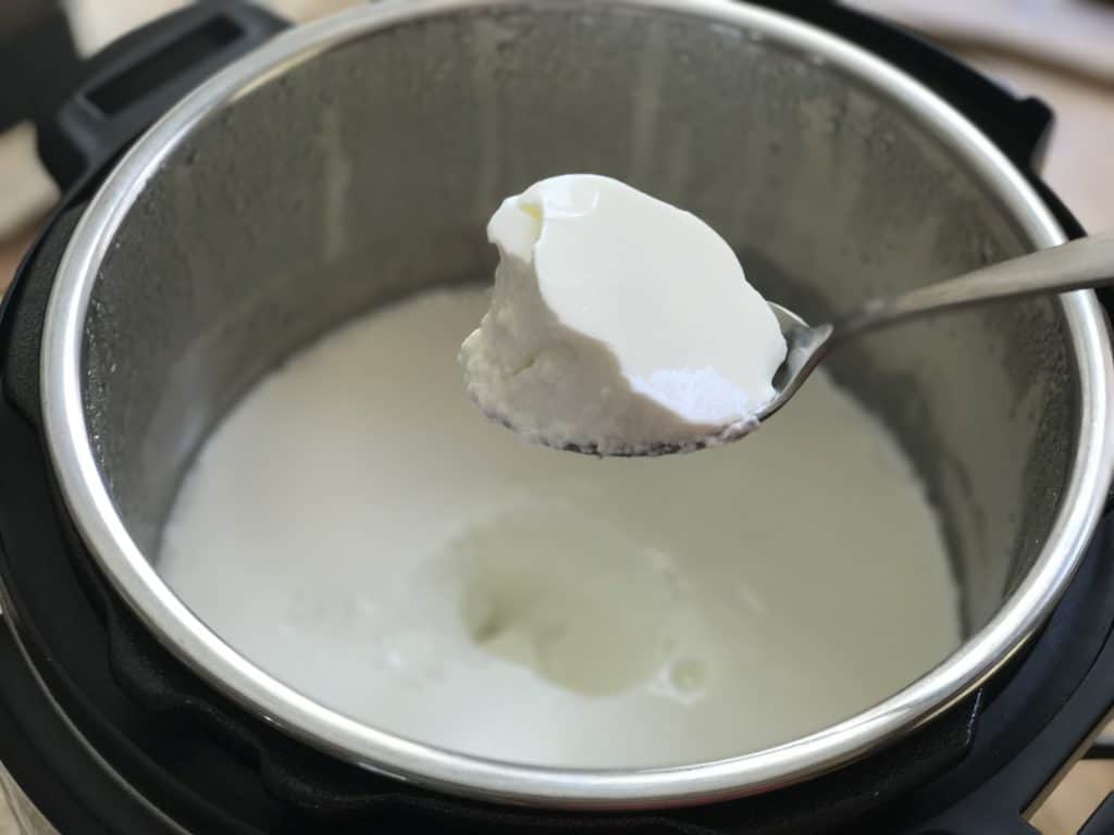 No boil / Cold Ingredients Yogurt (Dahi)