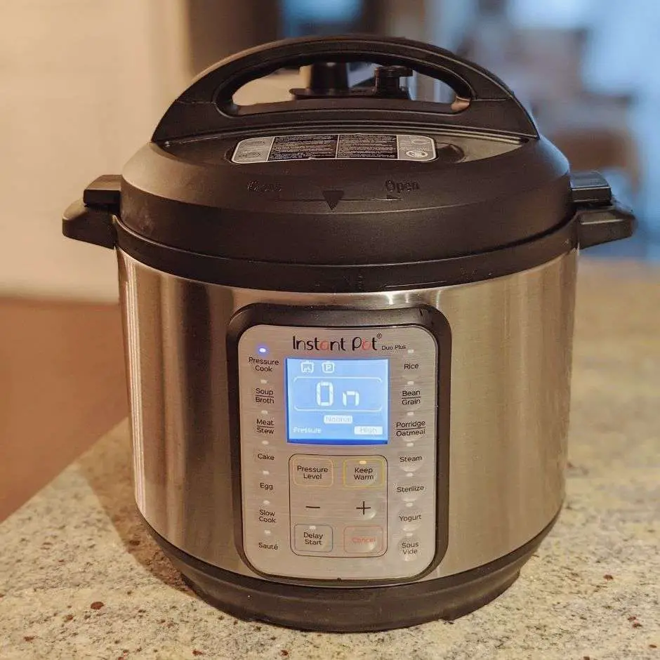 Should I Buy An Instant Pot? 25+ Things You Need To Know ...