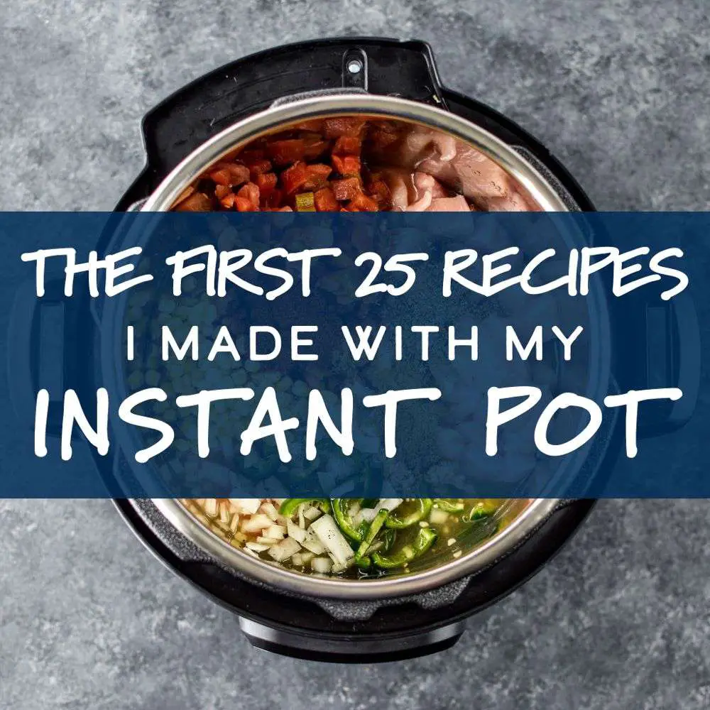 The First 25 Recipes I Made With My Instant Pot