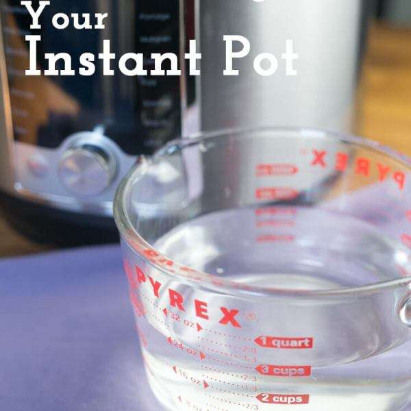 The Instant Pot water test is a quick and easy way to make ...