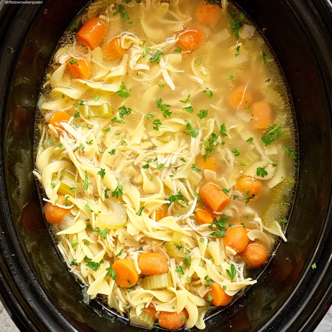 {VIDEO} Slow Cooker/Instant Pot Chicken Noodle Soup