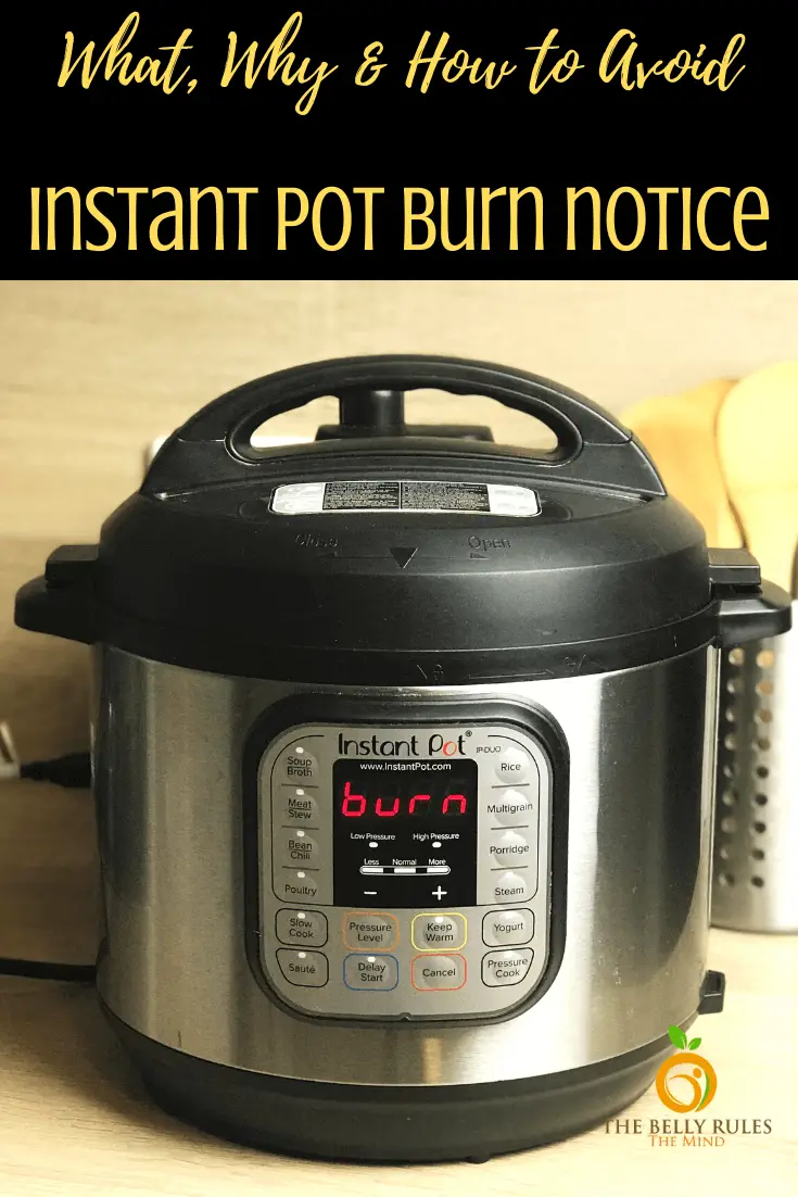 Why Does Instant Pot Says Burn &  How to Avoid it ...